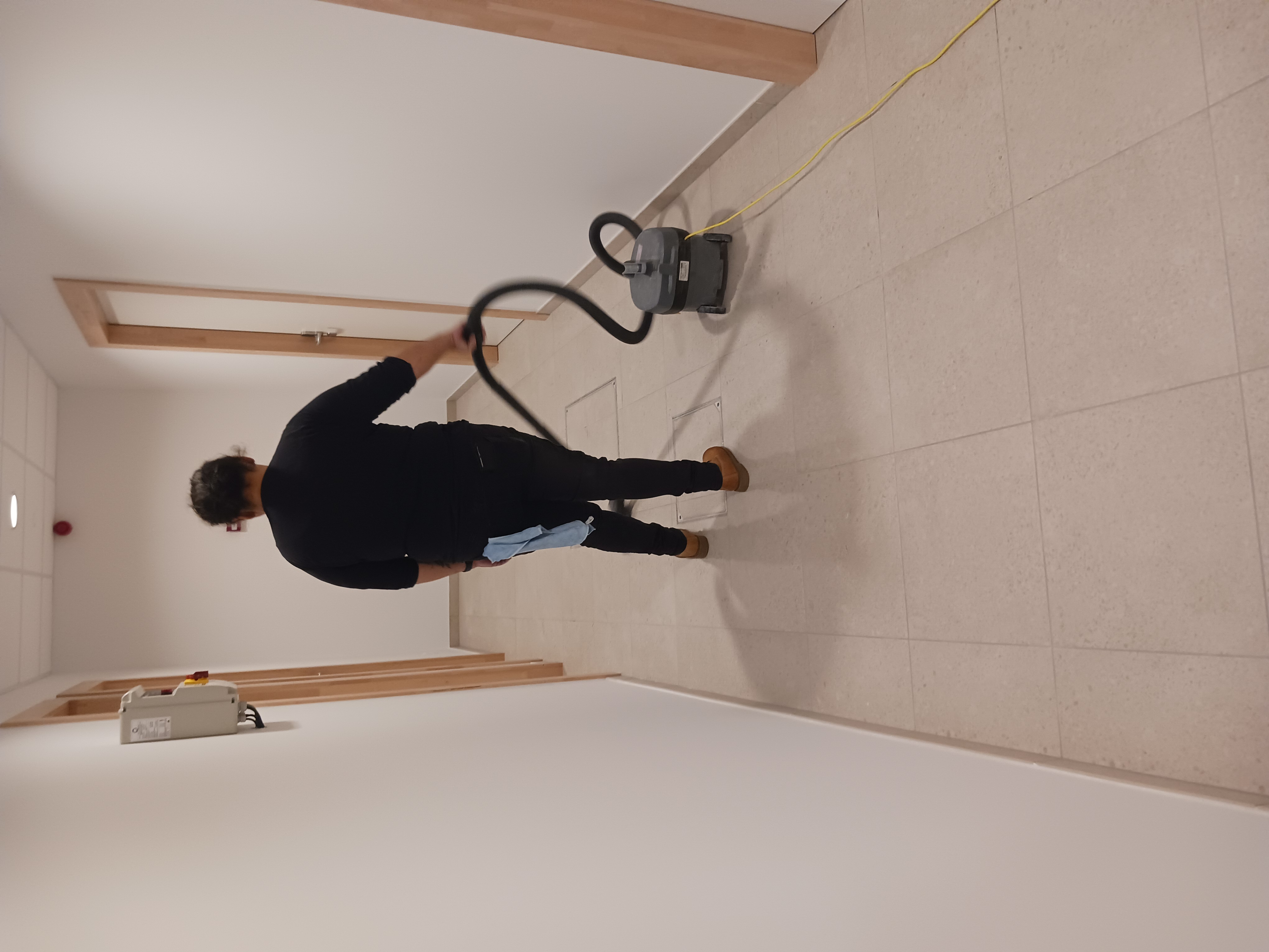 FIDE Cleaning